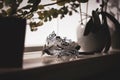 A portrait of a venetian mask lit by a window creating some mystery around it. A great way to hide your identity on a masked ball Royalty Free Stock Photo