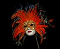 The Venetian mask Royalty Free Stock Photo