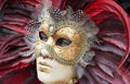 Venetian mask