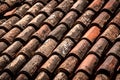 Venetian Clay Tiled Roof