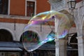 Venetian pillars in an alien-like soap bubble