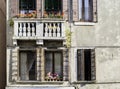 Venetian windows with flowers. Royalty Free Stock Photo