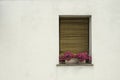 Venetian windows with flowers Royalty Free Stock Photo