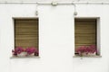 Venetian windows with flowers Royalty Free Stock Photo