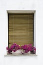 Venetian windows with flowers Royalty Free Stock Photo