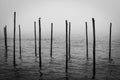 Venezia bollards