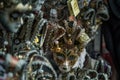 Venezia in carnival time Royalty Free Stock Photo