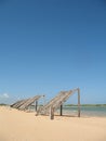 Venezuela, Adicora Peninsule of Paraguana, Caviar beach , falcon state