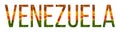 Word venezuela country is written with leaves on a white insulated background, a banner for printing, a creative