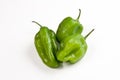 Venezuelan Aji dulce pepper Royalty Free Stock Photo