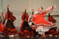 Venezuelan dance costume