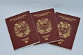 Venezuelan Passports Royalty Free Stock Photo