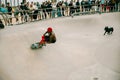 Venice Beach, CA, USA - Sep 17, 2023: The skater plays with a dog while skating around the bowl at the skatepark on Venice Royalty Free Stock Photo