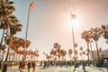 Venice Beach Flag Square