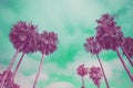 Venice beach palms in surreal colors