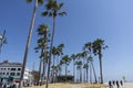 Venice beach in Santa Monica with bike lane and palm trees Royalty Free Stock Photo