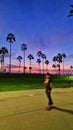 Venice beach sunset California palm tree skate park Royalty Free Stock Photo