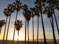 Venice Beach. Sunset. Summer concept Royalty Free Stock Photo