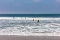 Venice beach, Surfers going to surf, ocean sea waves Royalty Free Stock Photo