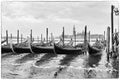 Venice / black & white view of the river canal and traditional venetian boats.