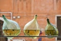 Venice canals reflections in a bottle