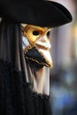 Venice Carnevale mask