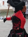 Venice carnival- costume vintage-veneto italy Royalty Free Stock Photo