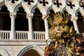 Venice Carnival Mask with Doge Palace Royalty Free Stock Photo