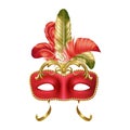 Venice carnival mask. Masquerade party. Harlequin face. Festival show. Gold feathers. Facial decoration. Venetian parade Royalty Free Stock Photo