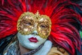 Venice Carnival mask Royalty Free Stock Photo