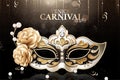 Venice carnival party mask Royalty Free Stock Photo