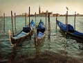 Venice and gondolas Royalty Free Stock Photo