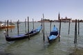 Venice, gondolas on the Grand Canal Royalty Free Stock Photo