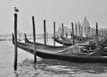 Venice Gondole Royalty Free Stock Photo