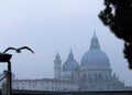 Venice, Italy, December 28, 2018 seagull in the foreground on a wooden pole with bell tower in the background