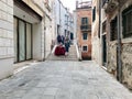 masquerading tourist descend from bridge in Venice