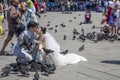 Happy newlyweds feed pigeons on St. Mark`s Square in Venice