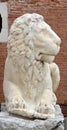 The proud image of the lion is everywhere in Venice