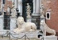 The proud image of the lion is everywhere in Venice