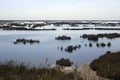 Venice lagoon Royalty Free Stock Photo