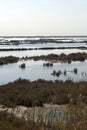 Venice lagoon Royalty Free Stock Photo