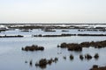 Venice lagoon Royalty Free Stock Photo