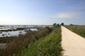 Venice lagoon Royalty Free Stock Photo