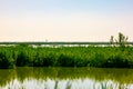 The Venice Lagoon or Venetian Lagoon in Venetian dialect unaaguna de Venesia or ÃÂ½aguna vÃÂ¨neta is a lagoon of the northern Adriat