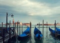 Venice Landscape