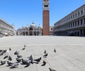 Venice during the lockdown with few people and the pigeons eating the crumbs in the San Marco Square and the high Bell Tower with Royalty Free Stock Photo