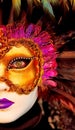 Venice mask Royalty Free Stock Photo