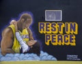 Venice Mural of Kobe Bryant and daughter Gianna