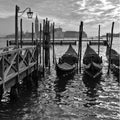 Venice: Passion Gondolas Royalty Free Stock Photo