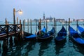 Venice: Queen of the Adriatic Royalty Free Stock Photo